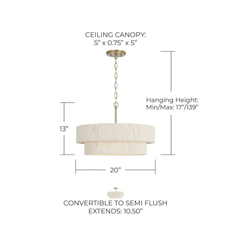4-Light 20-Inch Wide Pendant Light